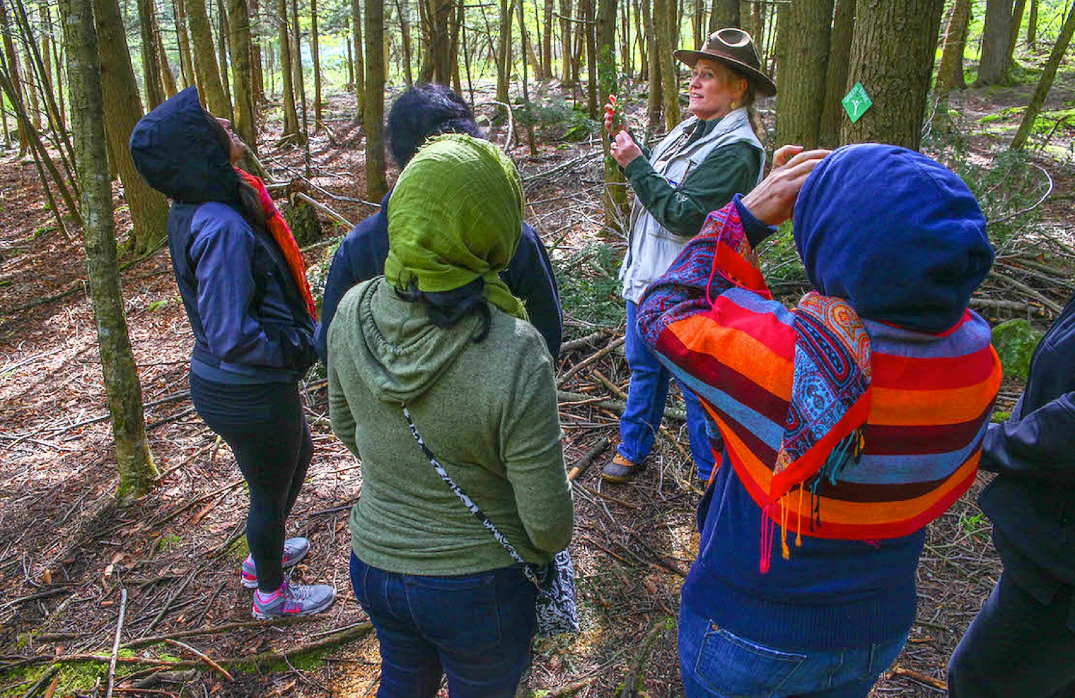 rc-event-addons-other@2x