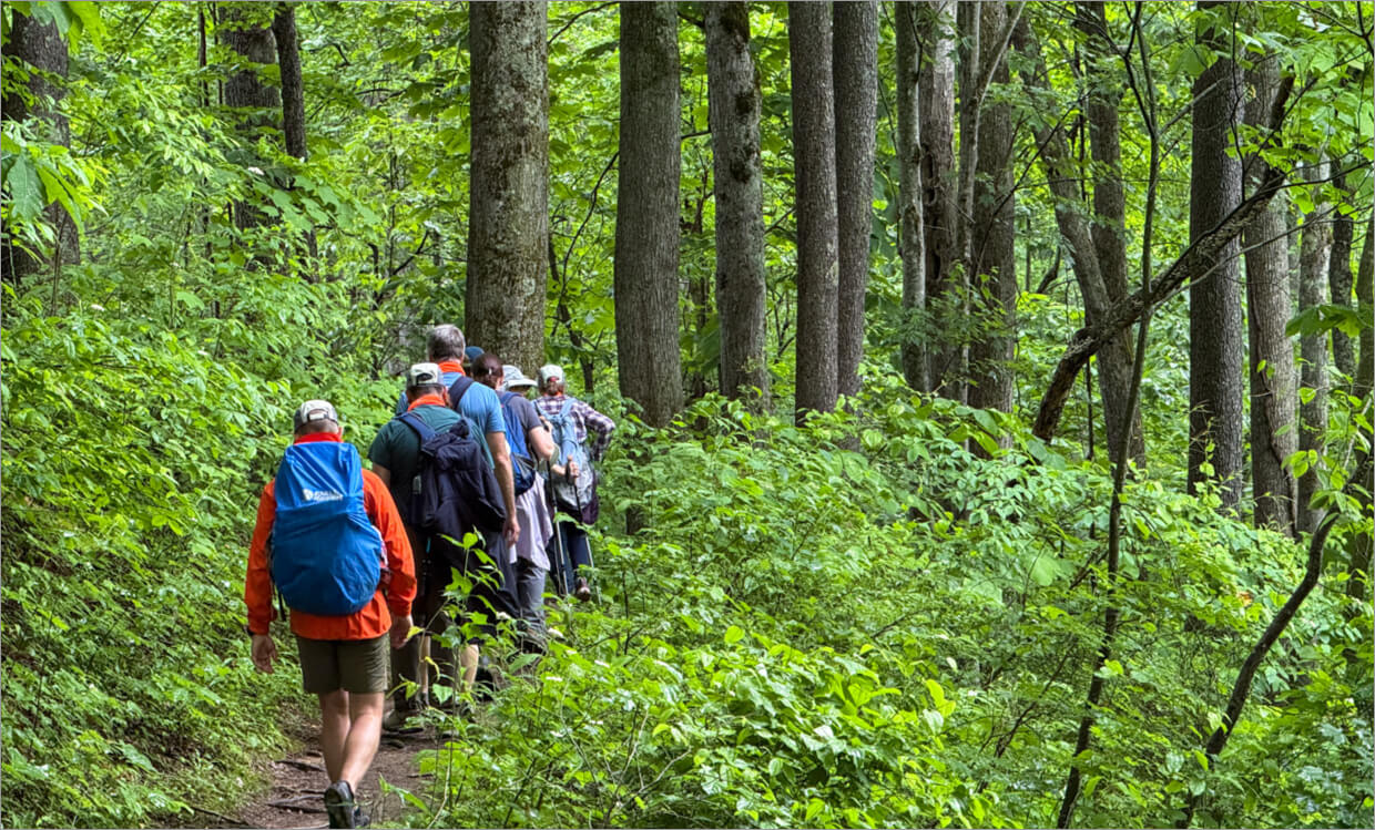 shenandoah-immersed-in-nature