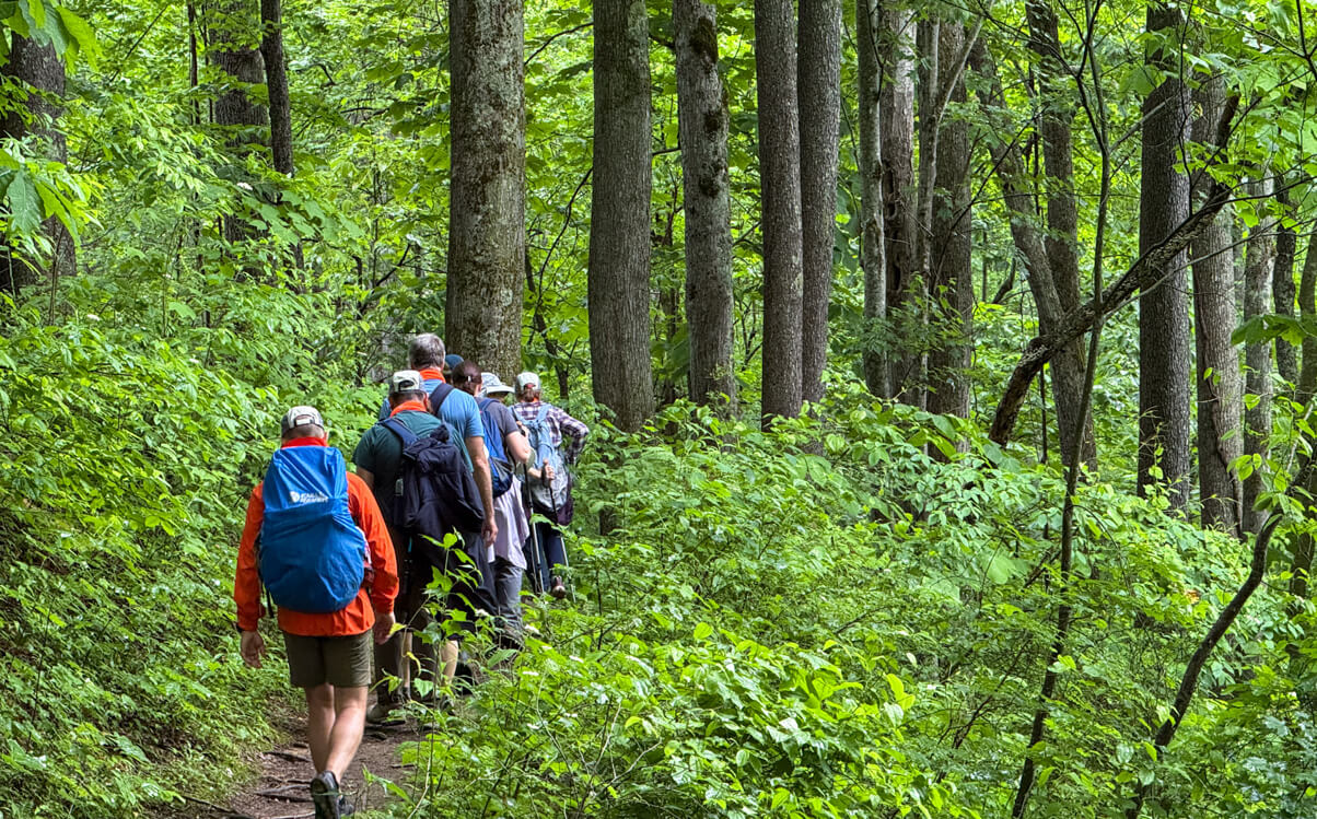 smokies-hiking
